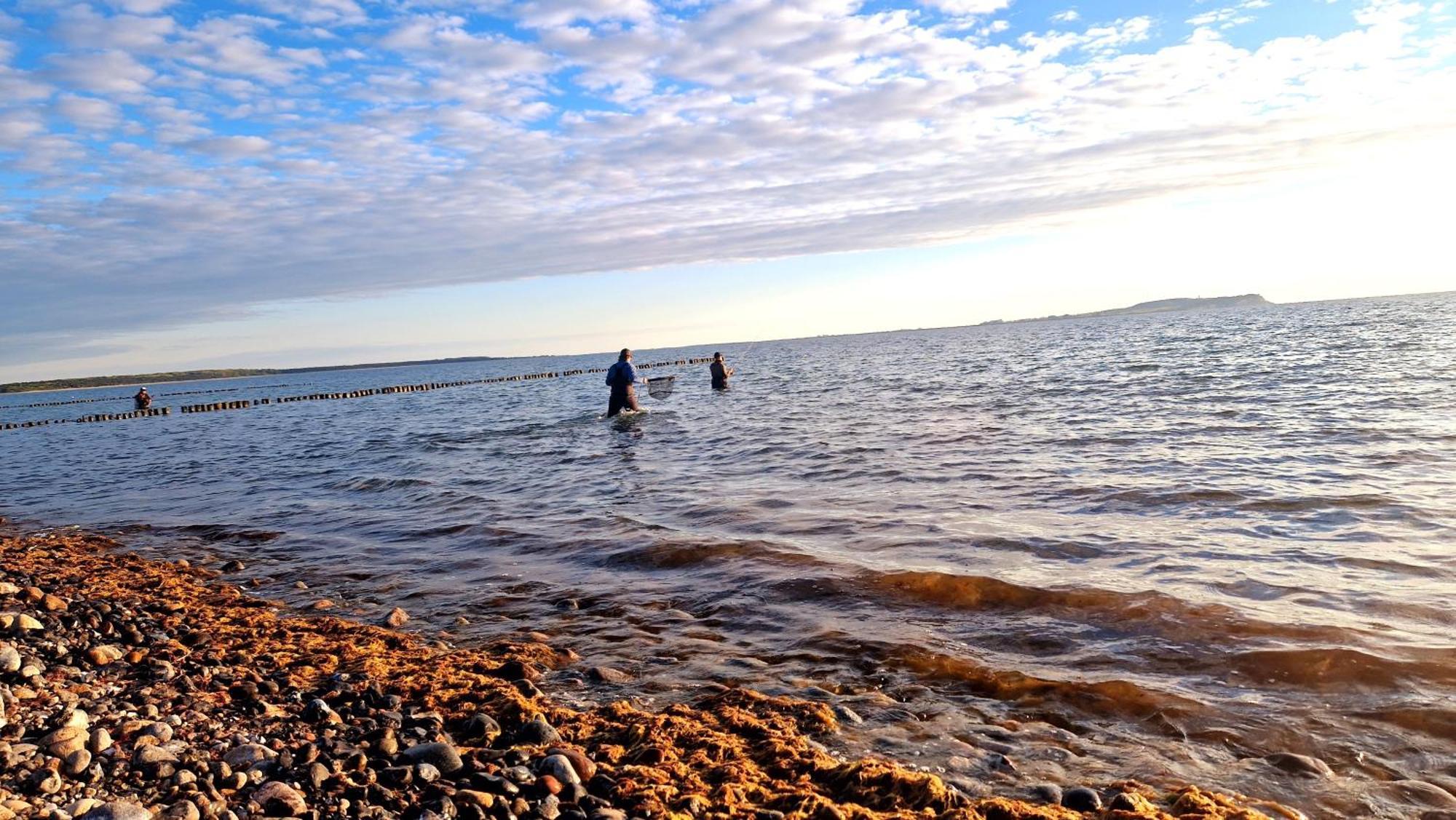 App 8O Grosser Tag Am Meer Mit Wasserblick ドランスケ エクステリア 写真